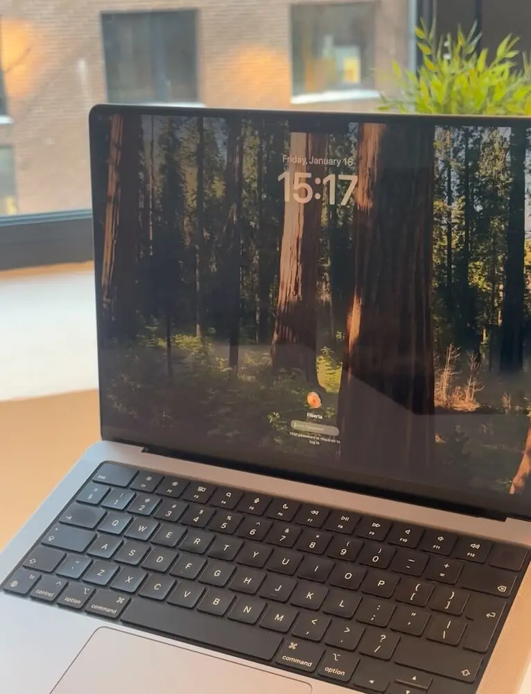 Kibernetinis saugumas